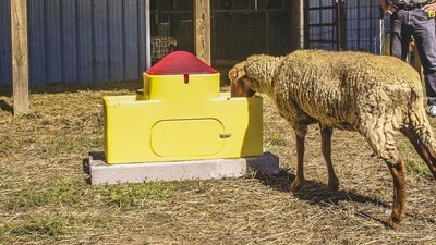 Ritchie WaterMatic 150S Sheep and Goat Waterer