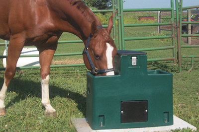 Miraco LilSpring 2900 Two Trough Automatic Waterer - Green