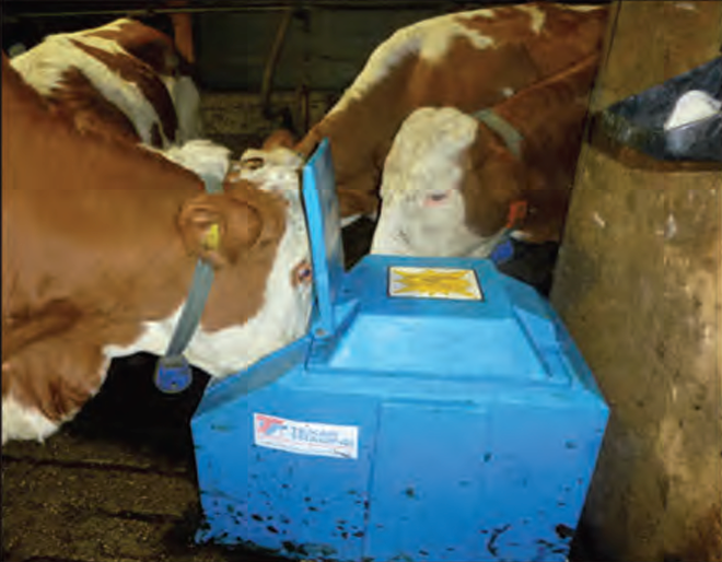 Pride of the Farm Polar Max WPM16 Single Drink Energy Free