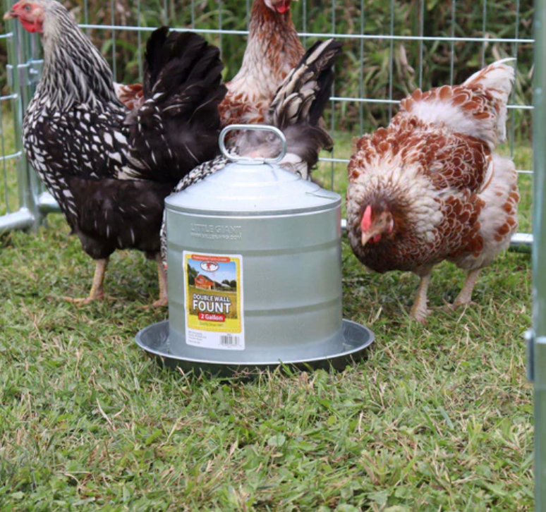 Double Wall Metal Poultry Fount 2 Gallon – Vacuum-Fed Galvanized Waterer with Sloped Lid & Locking Pin