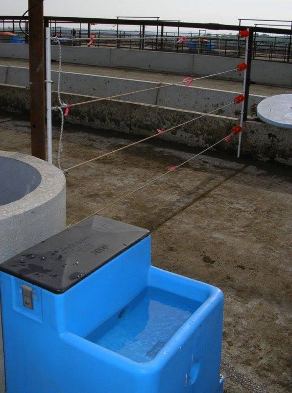 The installed Lilspring 3000 or 3001 in use with water.