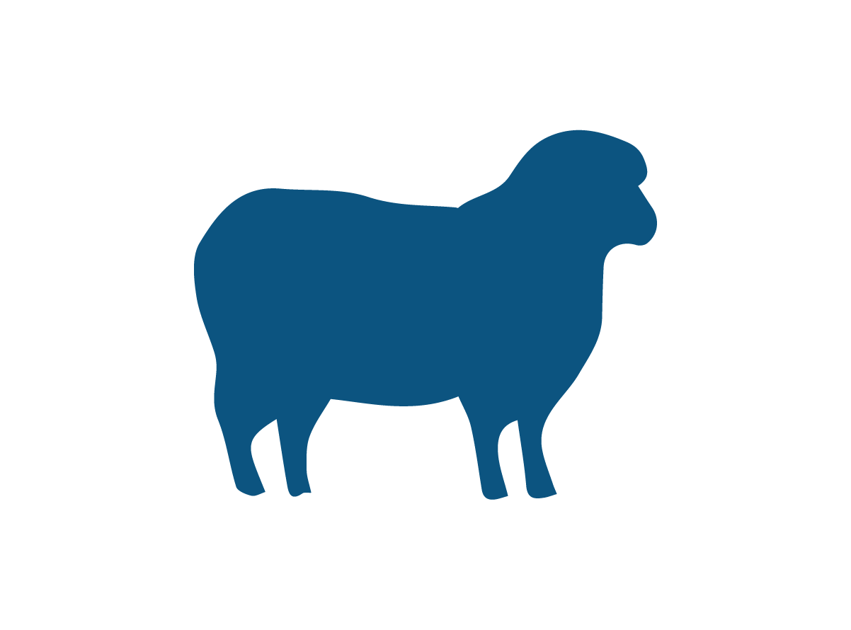 Goats and Sheep Waterers