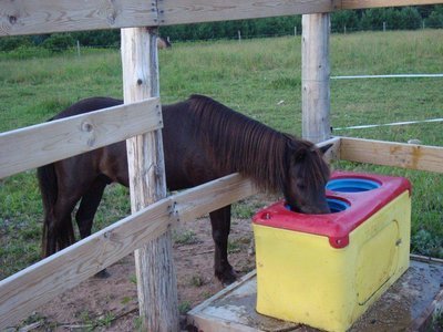 Ritchie EcoFount 2 Green 18510