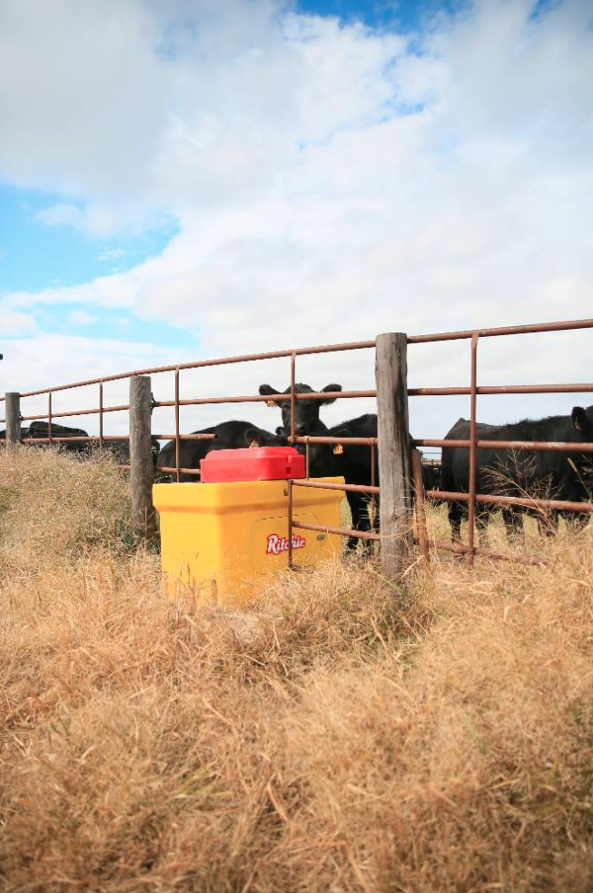 Ritchie Omni 3 Heated Automatic Livestock Waterer – Part 18270