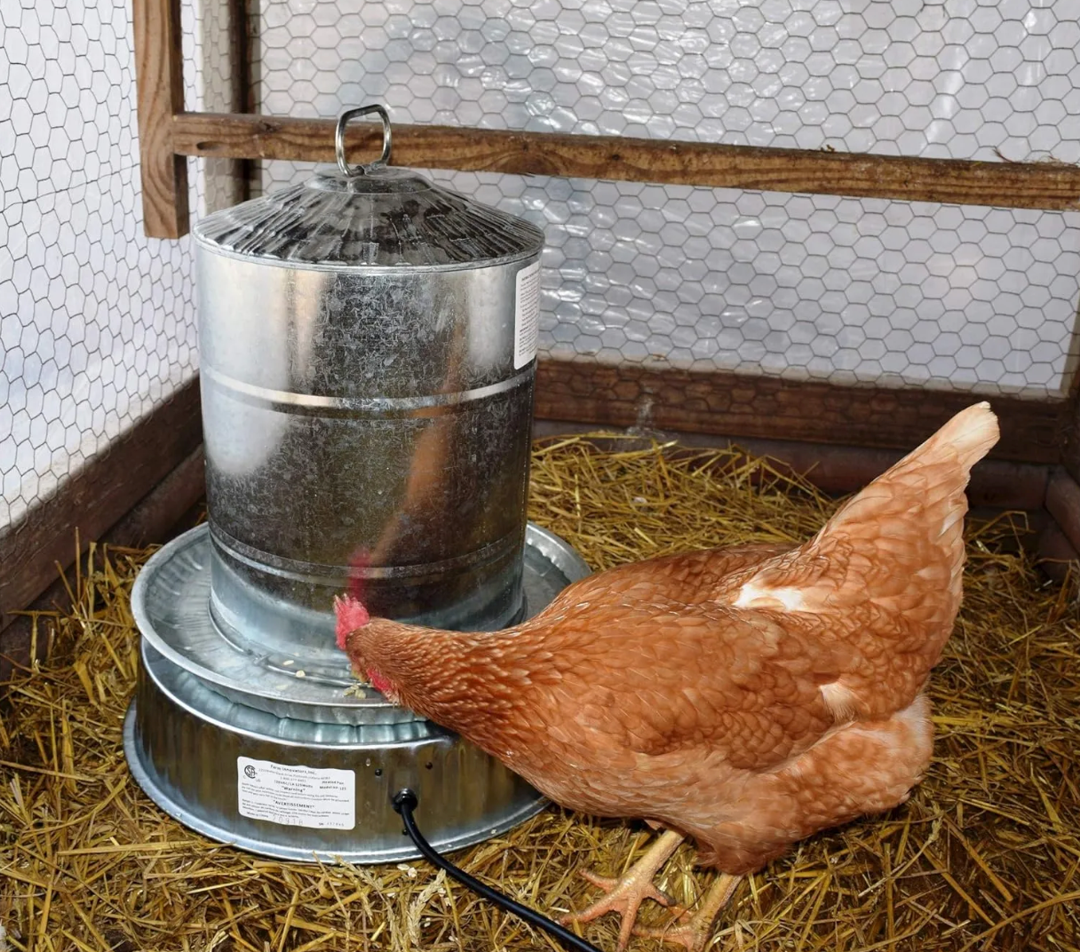 Farm Innovators Heated Metal Base for Poultry Fountain HP-125