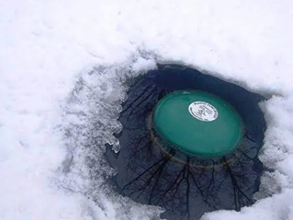 Farm Innovators P-418 Cast Aluminum Pond De-Icer – 1,250 W Freeze-Protection for Ponds up to 600 Gallons