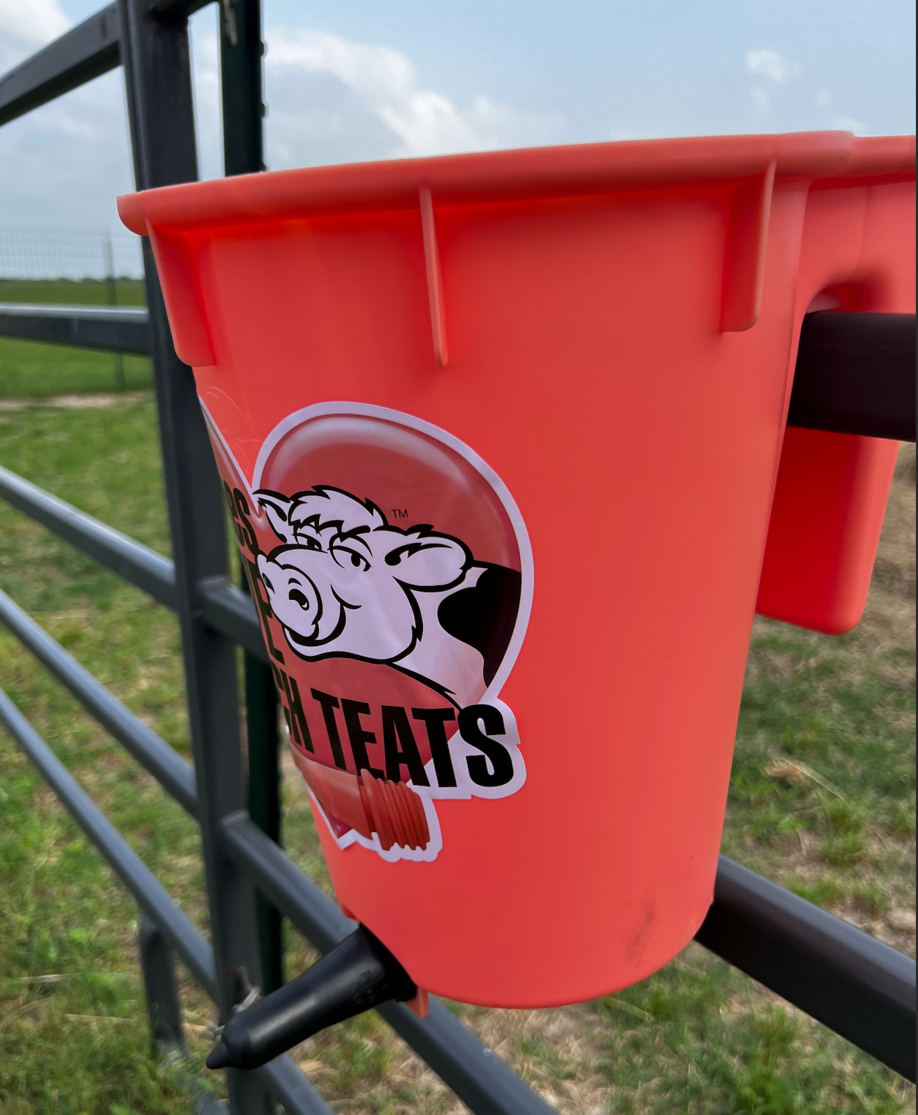 Peach Teat Single Calf Feeder - over the fence PT1