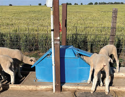 Pride of the Farm Polar Max WPM10A Small Animal Drinker - Energy Free