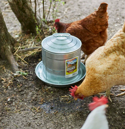 Double Wall Metal Poultry Fount 2 Gallon – Vacuum-Fed Galvanized Waterer with Sloped Lid & Locking Pin