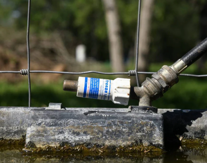 The Freeze Miser - TWO Pack