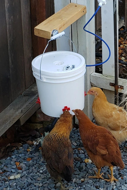 Farmer Brad Heated Chicken Waterer